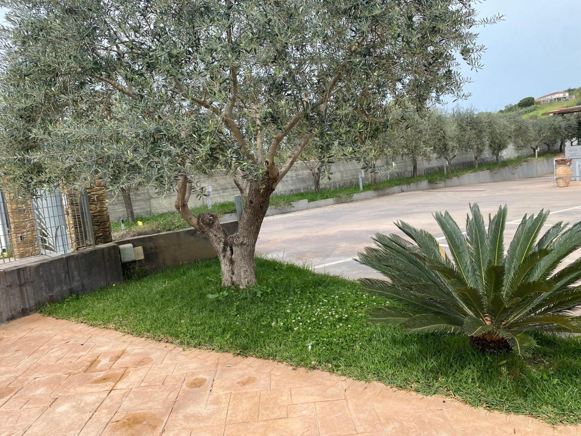 Bed and Breakfast Miro' Agropoli Exterior foto