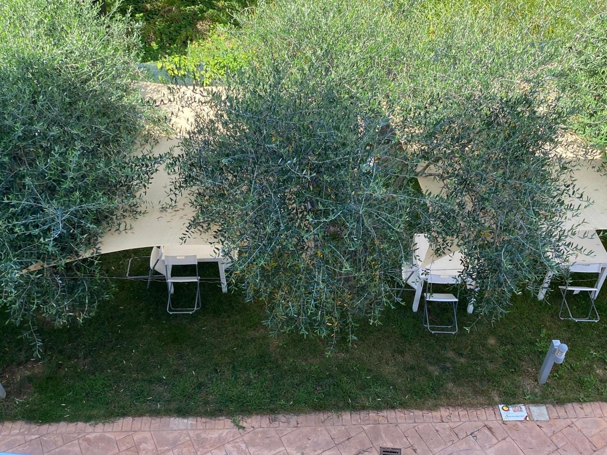 Bed and Breakfast Miro' Agropoli Exterior foto